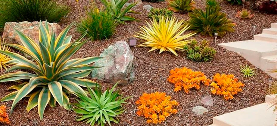 Transformar jardín en oasis
