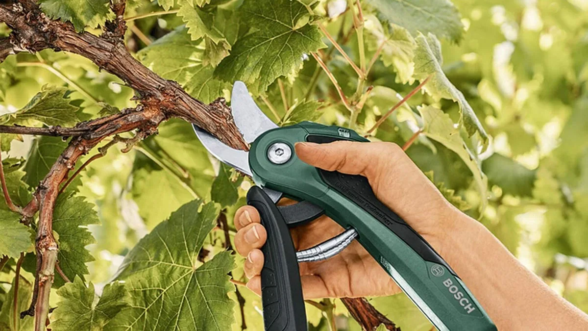 herramientas de jardinería